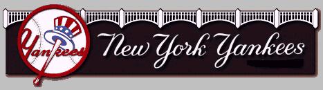 nyylogo